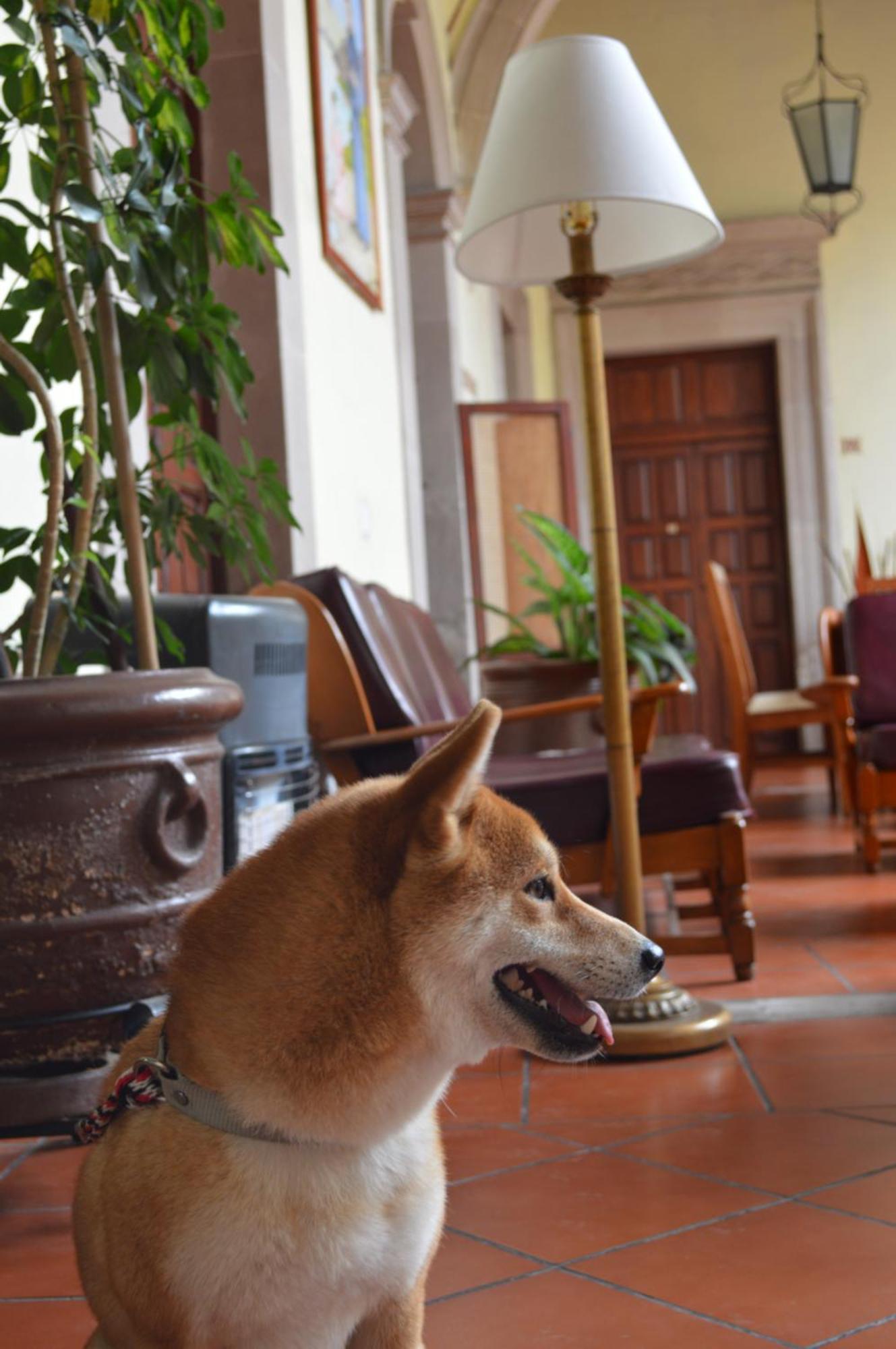 Hotel Posada San Agustin Durango Luaran gambar