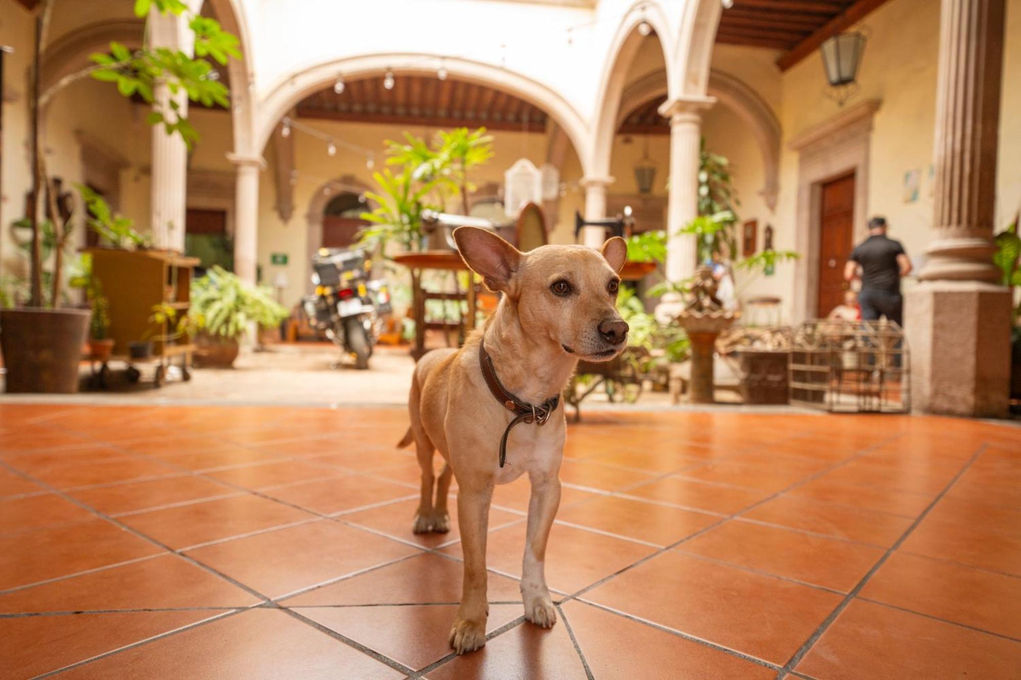 Hotel Posada San Agustin Durango Luaran gambar